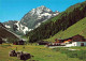 73967642 Neustift__Stubaital_Tirol_AT Alpengasthaus Pinnisalm Blick Zum Habicht  - Autres & Non Classés