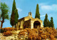 29-3-2024 (4 Y 22) France - Sheep In Provence (& Church) Mouton Et Eglise - Kirchen U. Kathedralen