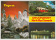 Australia TASMANIA TAS Aboriginal Diorama Ferry Train DEVONPORT Nucolorvue 12NW016 Multiview Postcard C1980s - Andere & Zonder Classificatie