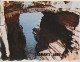 Delcampe - Australia TASMANIA TAS Multiviews Of Penal Prison PORT ARTHUR Nucolorvue PAC1 Postcard C1970s - Port Arthur