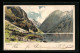 Lithographie Naerö-Fjord, Panorama  - Norvège