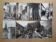 Delcampe - Cartes Postales Noir & Blancs, Dentelées Et Autres, Lot De 249 Cp, 1kg Hors Emballage - 100 - 499 Postcards