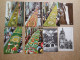 Delcampe - Cartes Postales Noir & Blancs, Dentelées Et Autres, Lot De 249 Cp, 1kg Hors Emballage - 100 - 499 Postcards