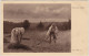 Ansichtskarte  Bauern Bei Der Heuarbeit 1930 - Farmers