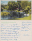 Postcard Rotorua Hamurana Springs 1938 - New Zealand