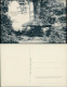 Ansichtskarte Elsterwerda Wikow Partie Am Pilz Im Stadtpark 1909 - Elsterwerda