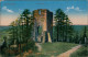 Ansichtskarte Meiningen Donopskuppe Burgruine 1920 - Meiningen
