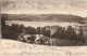 Ansichtskarte Titisee-Neustadt Kühe - Titisee (Schwarzwald) 1902 - Titisee-Neustadt