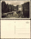 Ansichtskarte Altenau-Clausthal-Zellerfeld Unterer Kellerhalser Teich 1930 - Altenau