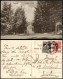 Postcard Bad Tuschnad Băile Tușnad Tusnádfürdő Intrarea La Baie 1925 - Roumanie