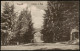 Postcard Bad Tuschnad Băile Tușnad Tusnádfürdő Intrarea La Baie 1925 - Roumanie