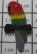 917 Pin's Pins / Beau Et Rare / ANIMAUX / PERROQUET MULTICOLORE OISEAU - Animaux