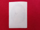 PAPE LEON XIII  PHOTO  14.5 X 10 Cm - Geïdentificeerde Personen