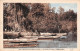 77-SOUPPES-N°T2938-B/0101 - Souppes Sur Loing