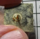 316C Pin's Pins / Beau Et Rare / MARQUES / SAINT ROCH QUALITY - Markennamen