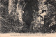 07-ARDECHE BOIS DE PAIOLIVE-N°3882-H/0331 - Sonstige & Ohne Zuordnung