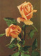 118896 - Zwei Rosen Gelb - Sonstige & Ohne Zuordnung