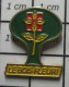 2020  Pin's Pins / Beau Et Rare / MARQUES / LE BOIS FLEURI - Trademarks