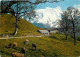 Animaux - Vaches - Suisse - Engelberg-Schwand - Chalet - Carte Neuve - CPM - Voir Scans Recto-Verso - Koeien