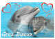 Animaux - Dauphin - Dolphin - Carte à Message - CPM - Carte Neuve - Voir Scans Recto-Verso - Dolphins