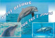 Animaux - Dauphin - Dolphin - Carte à Message - CPM - Carte Neuve - Voir Scans Recto-Verso - Dolphins