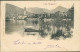 PALLANZA ( VERBANIA ) PANORAMA - EDIZIONE MODIANO - SPEDITA 1901 (20504) - Verbania