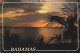 AK 210953 BAHAMAS - Bahamas