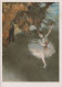 9000640 - Edgar Degas Der Stern - Peintures & Tableaux