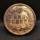 1 CENT INDIAN HEAD 1889 USA / TETE D'INDIEN - 1859-1909: Indian Head