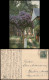 Stimmungsbild Frühling Baum-Blüte Photochromie Serienkarte 1910 - Other & Unclassified