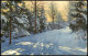 Winter-Ansichtskarte (Schnee/Eis) Stimmungsbild Photochromie Serien-AK 1916 - Unclassified