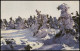 Ansichtskarte  Am Keilberg, Verschneite Tannen, Winter Stimmungsbild 1910 - Unclassified