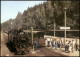 Kipsdorf Altenberg (Erzgebirge) Schmalspurbahn Freital  Bahnhof Kipsdorf  1990 - Kipsdorf