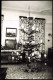 Weihnachten - Christmas, Weihnachtsbaum - Wohnstube 1955 Privatfoto Foto - Sonstige & Ohne Zuordnung