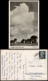 Ansichtskarte Prerow Weite Ferne - Stimmungsbild 1951 - Seebad Prerow