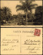 Postcard Monte-Carlo Les Jardins 1925 - Autres & Non Classés