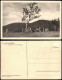 Kipsdorf-Altenberg (Erzgebirge) Bergweide Mit Der Tellkoppe - Kühe 1928 - Kipsdorf