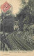 52 - Langres - Le Chemin De Fer à Crémaillère - Train - CPA - Voir Scans Recto-Verso - Langres