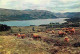 Animaux - Vaches - Ecosse - Scotland - Highland Castle By Loch Fyne - Argyll - Carte Neuve - CPM - Voir Scans Recto-Vers - Cows