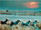 Animaux - Chevaux - Camargue - Camarguais - Horses - Pferde - CPM - Carte Neuve - Voir Scans Recto-Verso - Horses