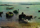 Animaux - Chevaux - Bretagne - Récolte Du Goémon Sur La Côte Du Léon - CPM - Voir Scans Recto-Verso - Pferde