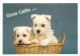 Animaux - Chiens - Chiots - CPM - Voir Scans Recto-Verso - Dogs