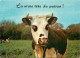 Animaux - Vaches - Carte à Message Humoristique - CPM - Voir Scans Recto-Verso - Cows