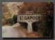 CPM  Train Gare  PUB VOYAGES SNCF - HEUREUSEMENT ON NE VOUS PROPOSE PAS QUE LE TRAIN Publicite Recto-verso) PFRCR00031P - Reclame