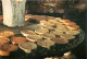 SAPOIS VAGNEY La Balance à Fromage  (scan Recto-verso) PFRCR00039 P - Saulxures Sur Moselotte