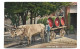 Postcard Switzerland Ticino Ticinesi Costumi Carro Dos Buoi Ox Cart With Barrels Unposted - Europe