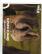 4 Calendriers 2020/21/22/23 De L'IFAW Sauvetage & Protection Animaux Sauvages Avec Photos D'animaux 14 Pages Chacun 937 - Grossformat : 2001-...