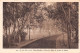 KAPURTHALA, PUNJAB, INDIA - IN THE ALLEY IN THE PALACE GARDEN ~ A VINTAGE CARD #240338 - India