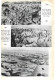 Delcampe - Magazine Article 'China Journal' 1937 "Natural History Of West China" Geography Flora Fauna Animals Pandas 中国 - Geschiedenis