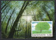 Martin Mörck. Denmark 1999. Native Trees. Michel 1199 Prestamped Card. Signed. - FDC